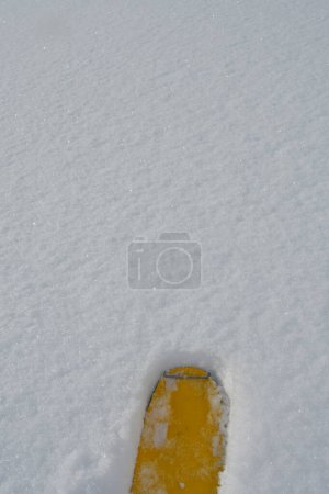 Téléchargez les photos : Pointe de ski jaune sur fond de neige poudreuse fraîche. Photo de haute qualité - en image libre de droit