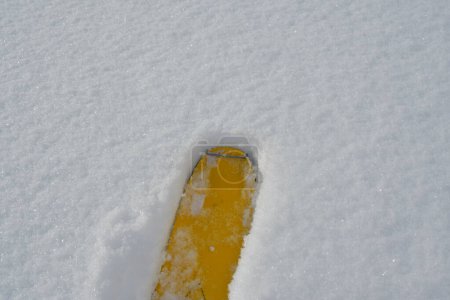 Téléchargez les photos : Pointe de ski jaune sur fond de neige poudreuse fraîche. Photo de haute qualité - en image libre de droit