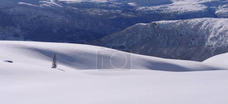 Ski touring top touring blue sky Norway. High quality photo