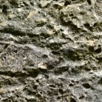 Lichens on Rock Surface detail background Stone. High quality photo