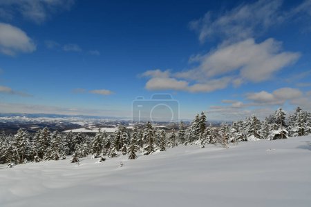 Winterlandschaft Mount Biei Fuji Hokkaido Japan. Hochwertiges Foto