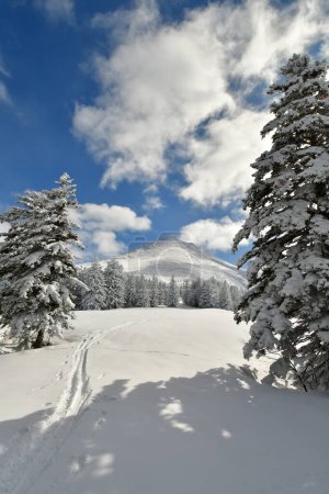 Paysage de montagne d'hiver Mont Biei Fuji Hokkaido Japon. Photo de haute qualité