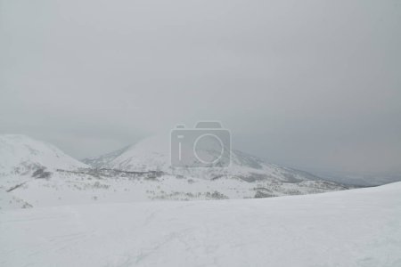 Hokkaido Japon hiver Paysage Forêt arbres ski randonnée sport. Photo de haute qualité