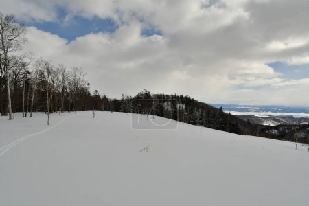 Snow landscape in Hokkaido hills near Biei Japan Nature beauty. High quality photo