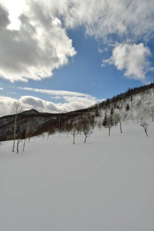 Paisaje de nieve en las colinas de Hokkaido cerca de Biei Japón Belleza de la naturaleza. Foto de alta calidad