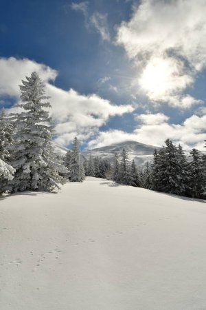 Paysage de montagne d'hiver Mont Biei Fuji Hokkaido Japon. Photo de haute qualité