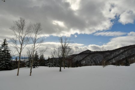 Paisaje de nieve en las colinas de Hokkaido cerca de Biei Japón Belleza de la naturaleza. Foto de alta calidad
