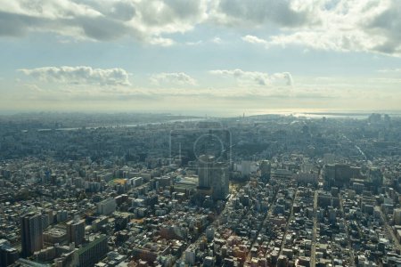 Panorama Tokyo City z widokiem na Drzewo Nieba z góry. Wysokiej jakości zdjęcie