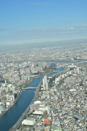 Stadtpanorama von Tokio aus Himmelsbaumansicht von oben. Hochwertiges Foto