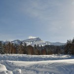 Winter landscape of hokkaido japan near biei snow cold ski. High quality photo