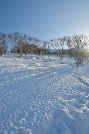 Mont Yotei ascension ensoleillée journée vue hiver neige Ski de randonnée. Photo de haute qualité