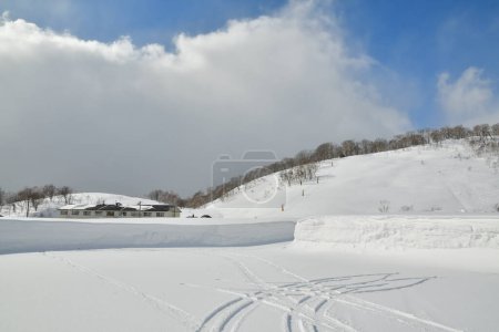 Téléchargez les photos : Paysage hivernal de hokkaido japon près de la neige biei ski froid. Photo de haute qualité - en image libre de droit