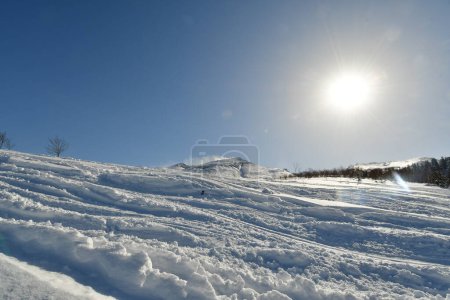 Esquí de montaña hokkaido japón en invierno nieve hermoso paisaje al aire libre. Foto de alta calidad