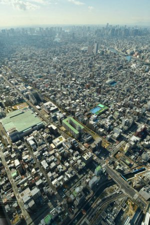 Stadtpanorama von Tokio aus Himmelsbaumansicht von oben. Hochwertiges Foto