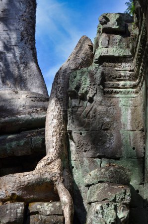 Photo for Angkor Wat Temple cambodia ancient world heritage unsesco. High quality photo - Royalty Free Image