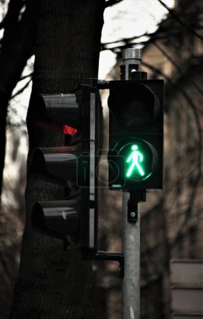 Foto de A green light on a traffic light for pedestrians, a sign of free crossing of the street for pedestrians - Imagen libre de derechos