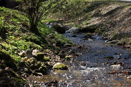 Téléchargez les photos : Un ruisseau avec de l'eau claire entre deux collines, pierres dans l'eau, verdure, lumière du soleil - en image libre de droit