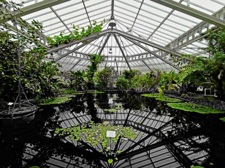 Meise, Belgium - March 2022 - Visit to the magnificent 92-hectare botanical garden of Meise