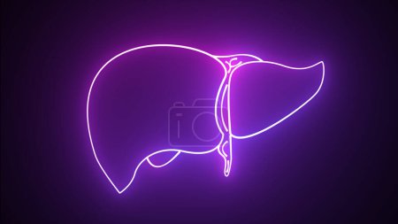 Colorful neon line Human organ liver icon isolated on black background. Neon medical animation - Liver. Motion graphic animation 4k