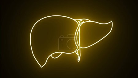 Yellow neon line Human organ liver icon isolated on black background. Neon medical animation - Liver. Motion graphic animation 4k
