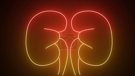 Glowing yellow and red neon line Human kidneys icon isolated on black background. Neon human kidneys icon in line style. Urinary system part symbol. 4K Video motion graphic animation.