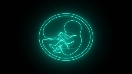 neon Human fetus inside the womb. Pregnancy fetal foetus development. Human embryo, stages of fetal development