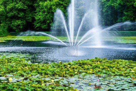 Téléchargez les photos : Belle fontaine dans le lac au parc. Flux éclaboussants - en image libre de droit