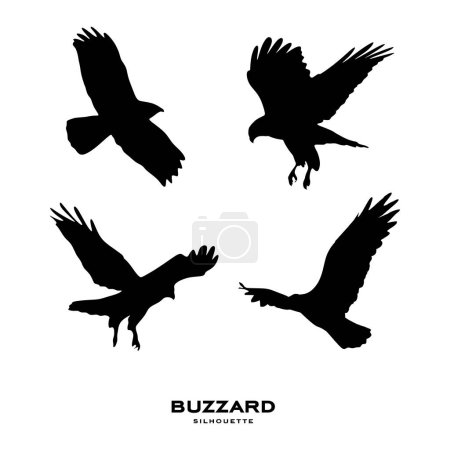Téléchargez les illustrations : Silhouette buzzard. Silhouette commune d'oiseau buzzard isolée sur fond blanc. illustration vectorielle - en licence libre de droit