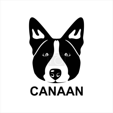 Illustration for Dog head vector. Canaan dog head on white background. Canaan animal isolated. vector illustration eps10 - Royalty Free Image