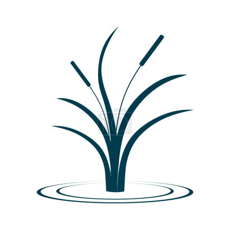 Illustration for Cattail plant illustration. Reed plant symbol on white background. vector eps10 - Royalty Free Image