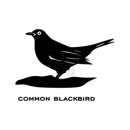 Logo común de mirlo aislado sobre fondo blanco. Signo de pájaro. Silueta de mirlo común. Ilustración de vector de icono de ave minimalista.