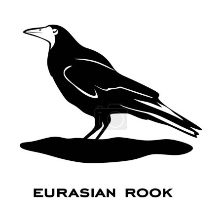 Téléchargez les illustrations : Logo de la tour eurasiatique isolé sur fond blanc. Signe d'oiseau. Silhouette de tour eurasienne. Illustration vectorielle d'icône d'oiseau minimaliste - en licence libre de droit