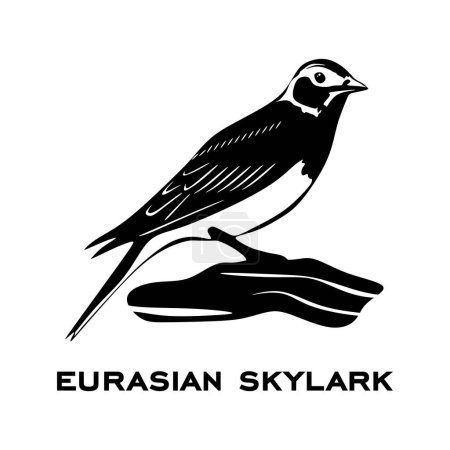 Téléchargez les illustrations : Logo de l'alouette d'Eurasie isolé sur fond blanc. Signe d'oiseau. Silhouette d'alouette d'Eurasie. Illustration vectorielle d'icônes minimalistes - en licence libre de droit