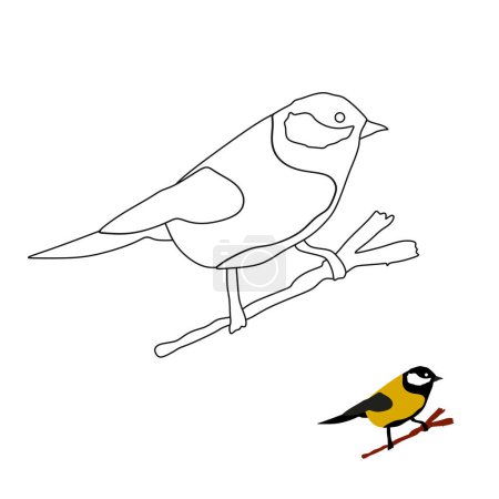 Illustration for Bird goldfinch on the tree Coloring book for children Linear illustration. - Royalty Free Image