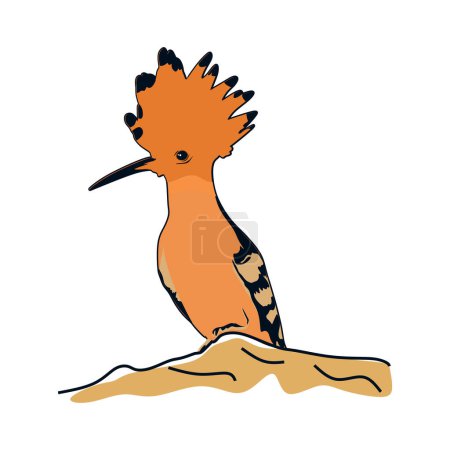 Ilustración de Hoopoe bird vector icon. - Imagen libre de derechos