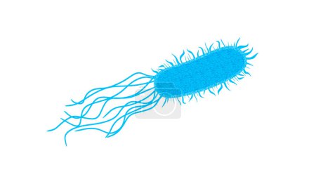 Téléchargez les illustrations : Illustration of legionella bacteria isolated - en licence libre de droit