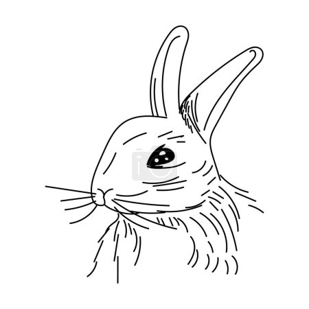 Photo for Cute rabbit. hand drawing vector illustration. - Royalty Free Image