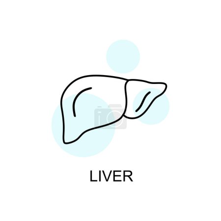 Illustration for Liver vector thin line icon. modern illustration isolated on transparent background. editable stroke - Royalty Free Image