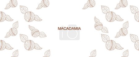 Téléchargez les illustrations : Hand drawn vector abstract background of Macadamia - en licence libre de droit