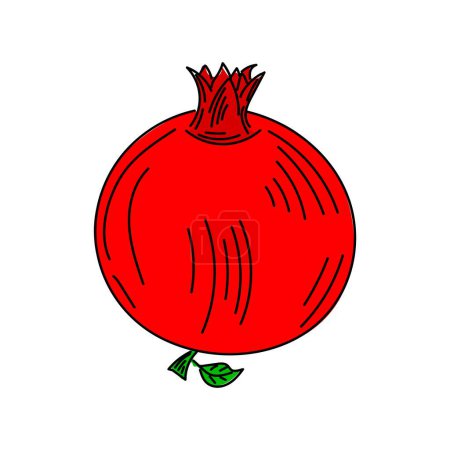 Illustration for Hand drawing cartoon of a pomegranate - Royalty Free Image