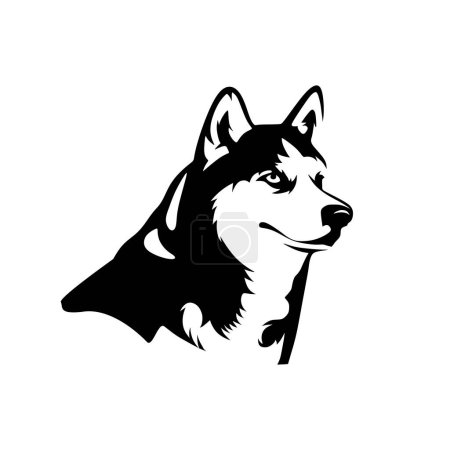 Téléchargez les illustrations : Vector illustration of siberian husky head - en licence libre de droit