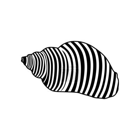 Ilustración de Spiral sea shell vector. Sea shell of the ocean on a white background. Spiral seashell minimal illustration. vector eps 10. - Imagen libre de derechos