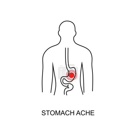 Illustration for Stomach ache linear icon. Vector abstract minimal illustration of young man with red spot on his tummy suffers from stomach ache. Design template for medicine or therapy for upset stomach or ulcer - Royalty Free Image