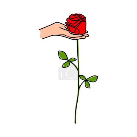 Illustration for Hand drawn rose flower isolated on white background. vector illustration - Royalty Free Image