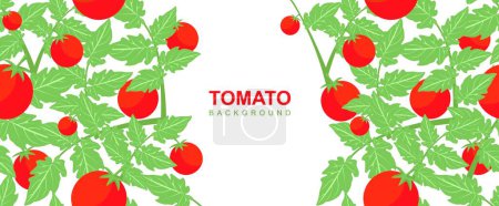 Téléchargez les illustrations : Fond sans couture avec un bouquet de tomates pour le design - en licence libre de droit