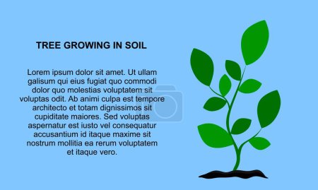 Illustration for Tree growing in soil, template banner. Plant From Soil for banner. Fresh organic tree garden plant. vector illustration - Royalty Free Image