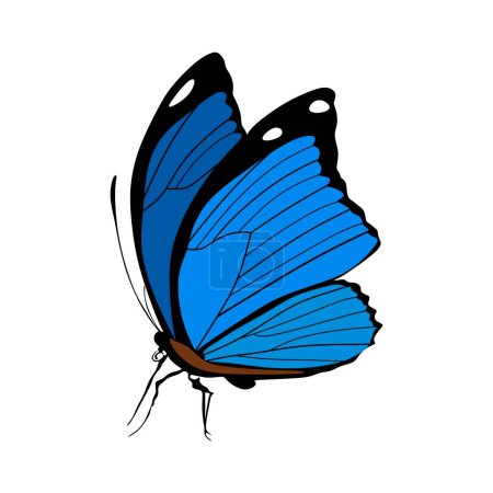 Téléchargez les illustrations : Papillon tropical aux ailes colorées isolé sur fond blanc. Jolie teigne volante. Magnifique insecte de printemps exotique. Illustration vectorielle texturée colorée. - en licence libre de droit