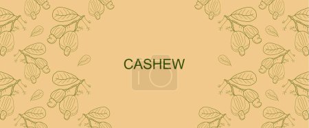Ilustración de Vector frame with Cashew and leaves. Cashew background. Cashew vector seamless pattern. Hand drawn illustration - Imagen libre de derechos