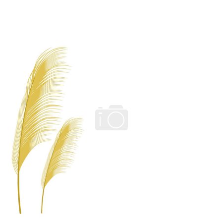 Ilustración de Vector illustration of pampas grass. Cream branch of dry grass. Panicle of Cortaderia selloana South America, flower head of plumestep feathers. Template for a wedding card - Imagen libre de derechos