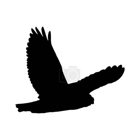 Téléchargez les illustrations : Silhouette noire d'un oiseau - en licence libre de droit